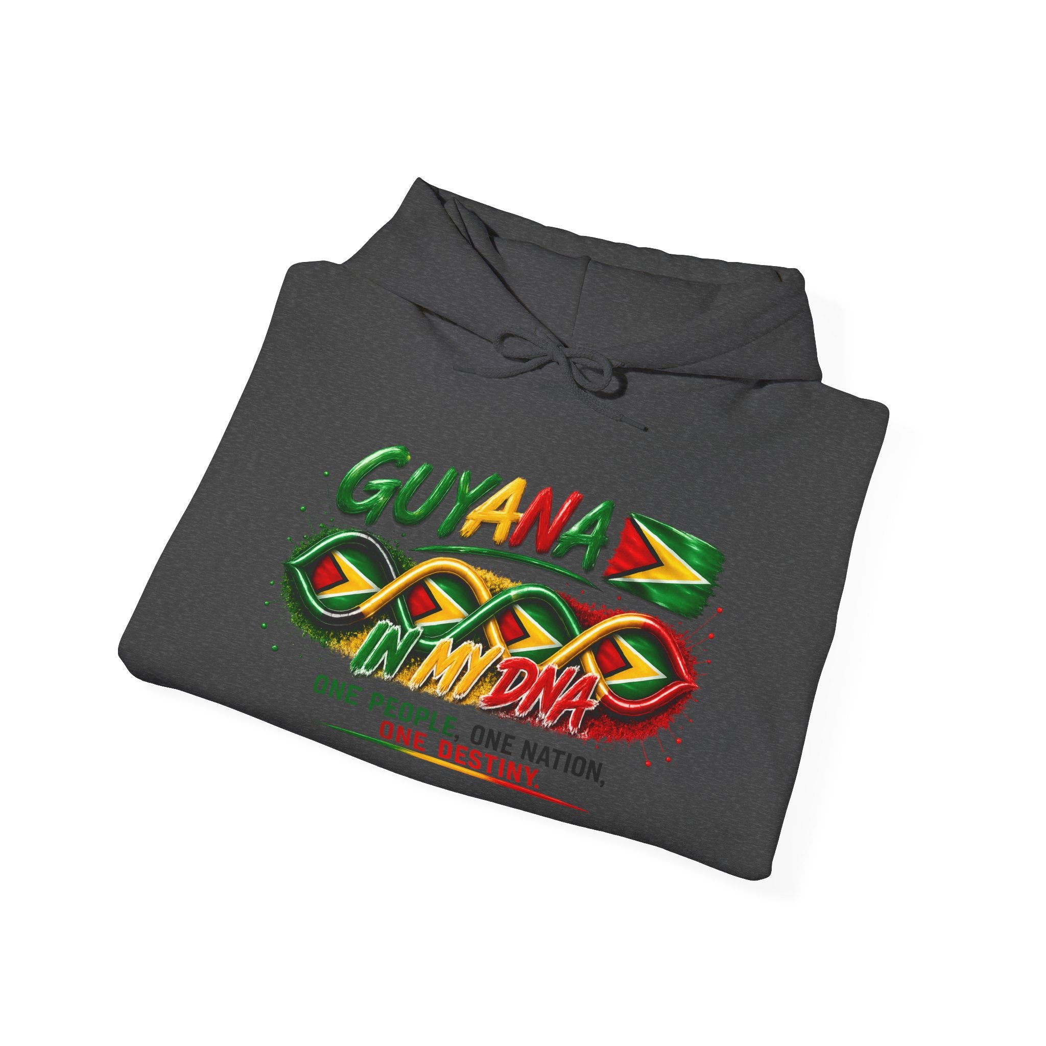 Guyana in My DNA | Heavyweight Hoodie | Guyana