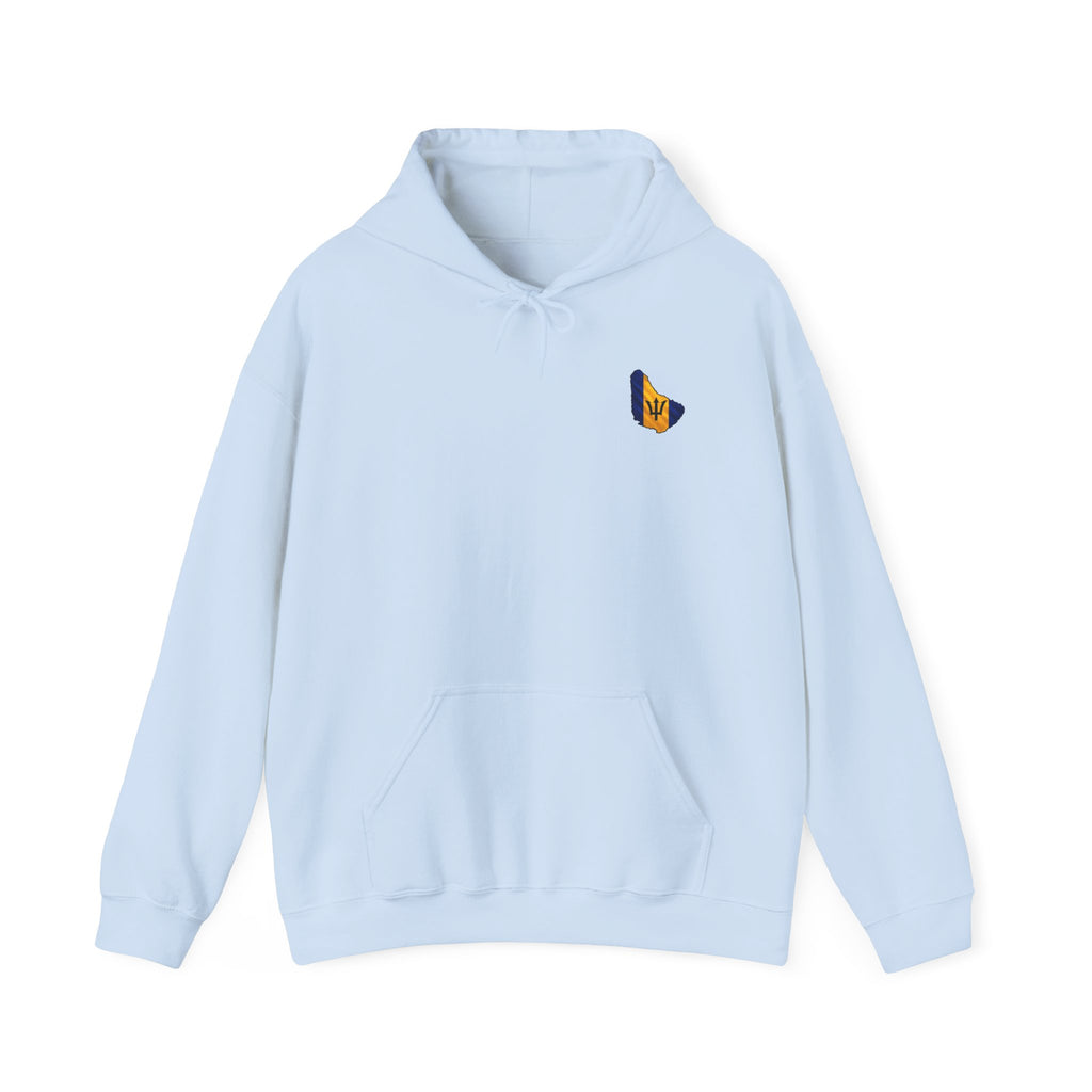 "Oh R...Hole!" | Heavyweight Hoodie | Barbados