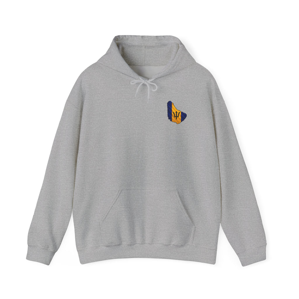 "Oh R...Hole!" | Heavyweight Hoodie | Barbados