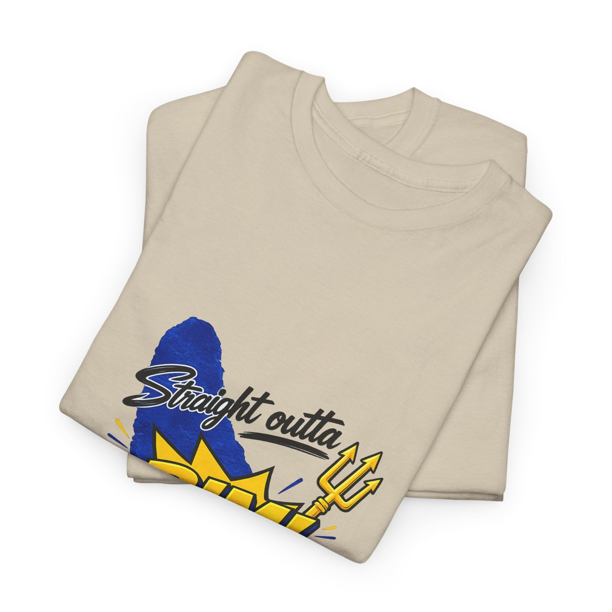 Straight Outta BIM! | Premium Tee | Barbados