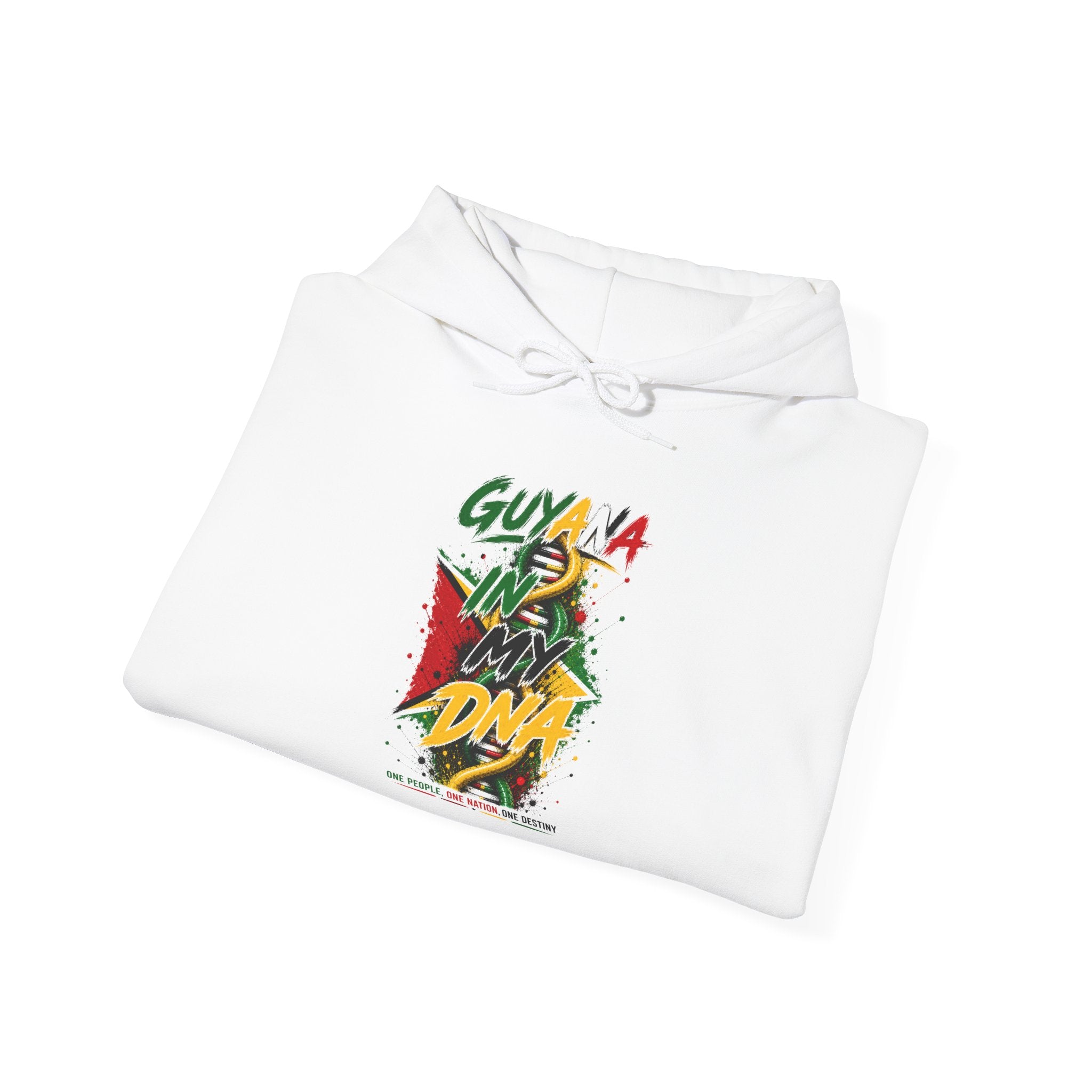 In My DNA | Heavyweight Hoodie | Guyana