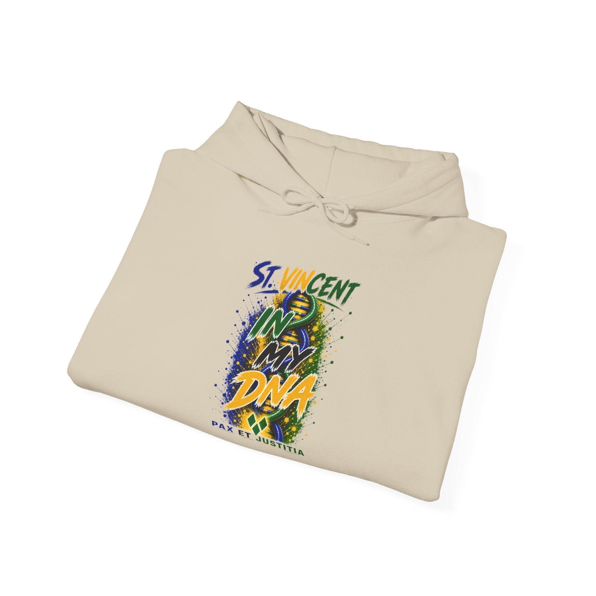 In My DNA | Heavyweight Hoodie | St. Vincent