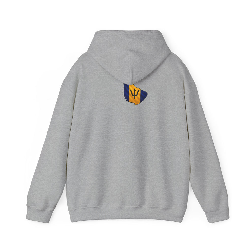 Straight Outta BIM! | Heavyweight  Hoodie | Barbados