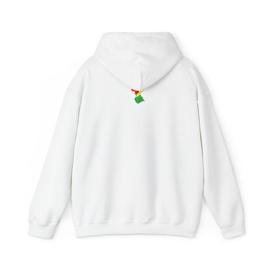 Guyana in My DNA | Heavyweight Hoodie | Guyana