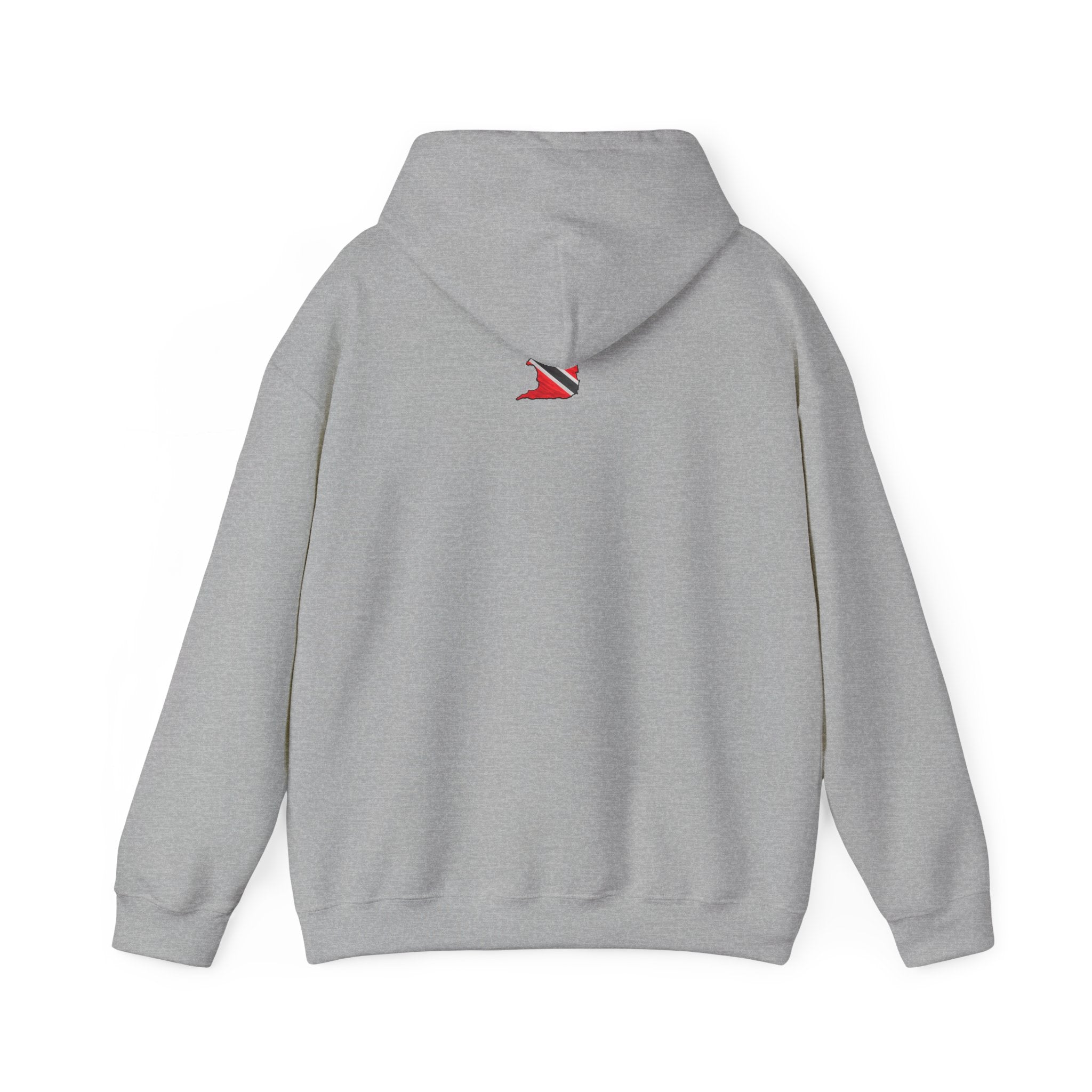 In My DNA | Heavyweight Hoodie | Trinidad