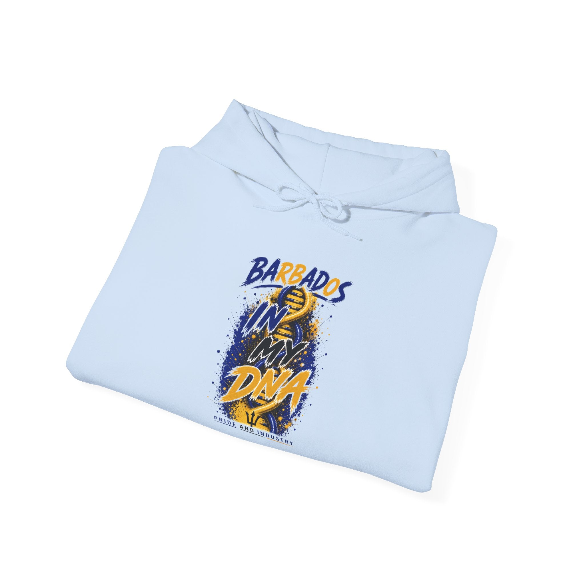 In My DNA | Heavyweight Hoodie | Barbados