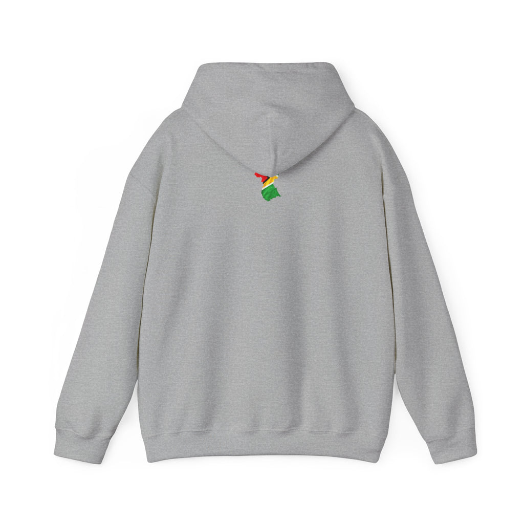 Guyana in My DNA | Heavyweight Hoodie | Guyana