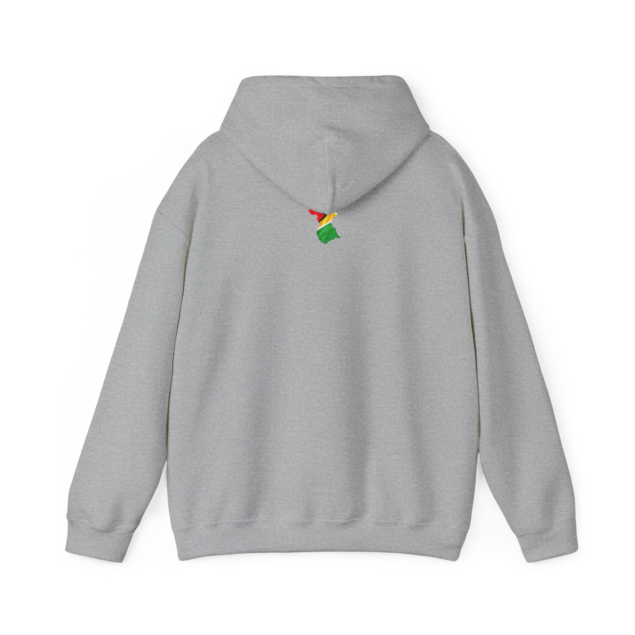 Guyana in My DNA | Heavyweight Hoodie | Guyana