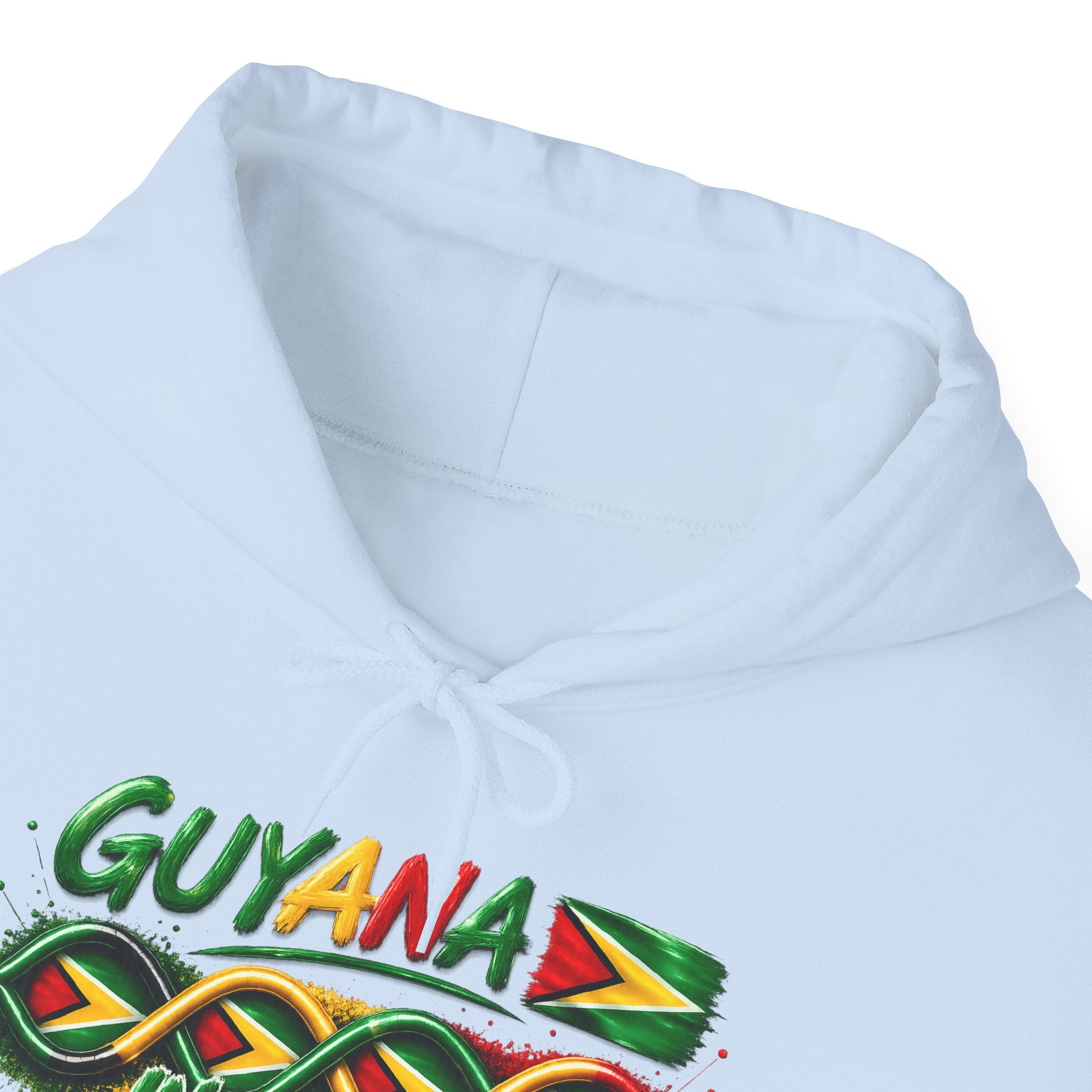 Guyana in My DNA | Heavyweight Hoodie | Guyana