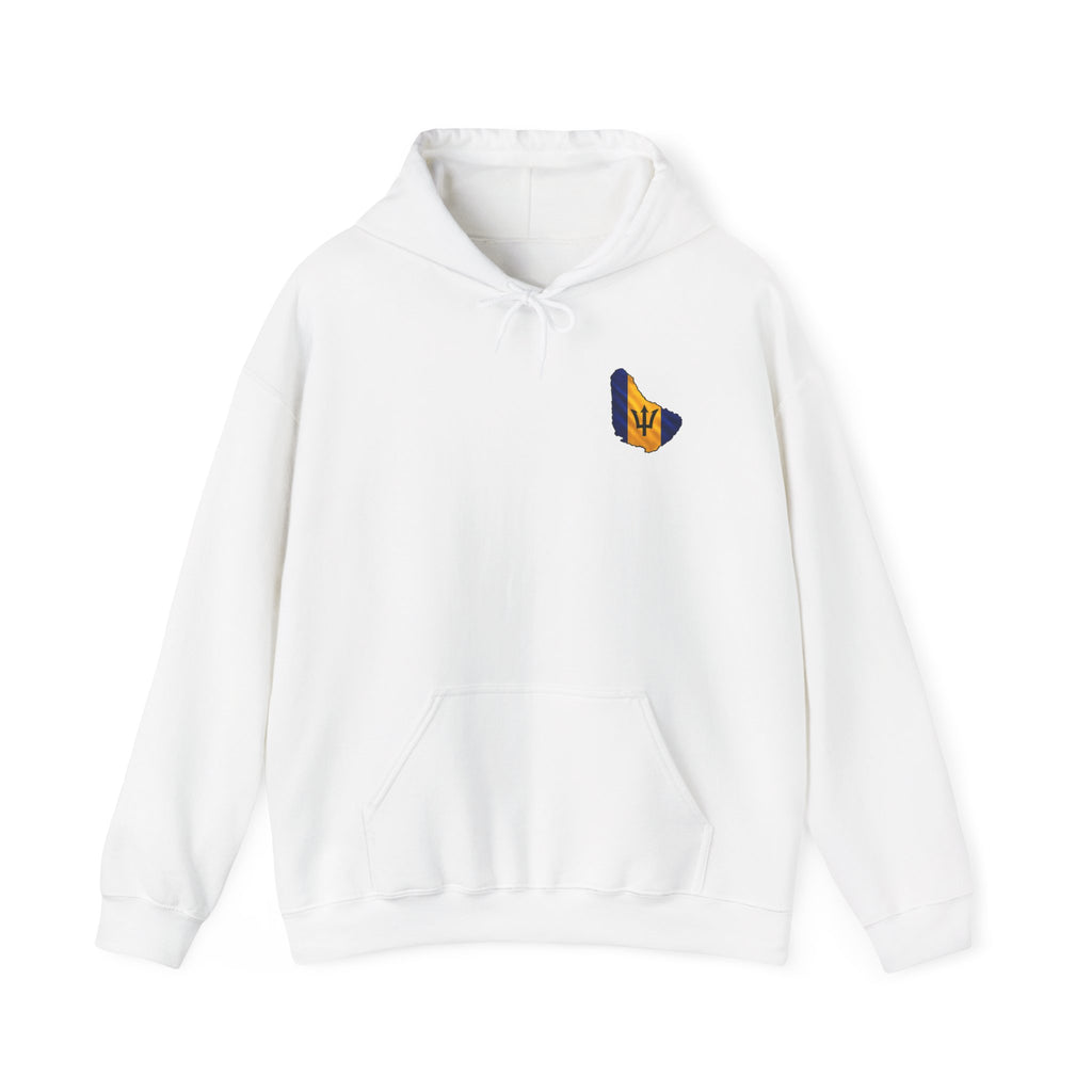 "Oh R...Hole!" | Heavyweight Hoodie | Barbados