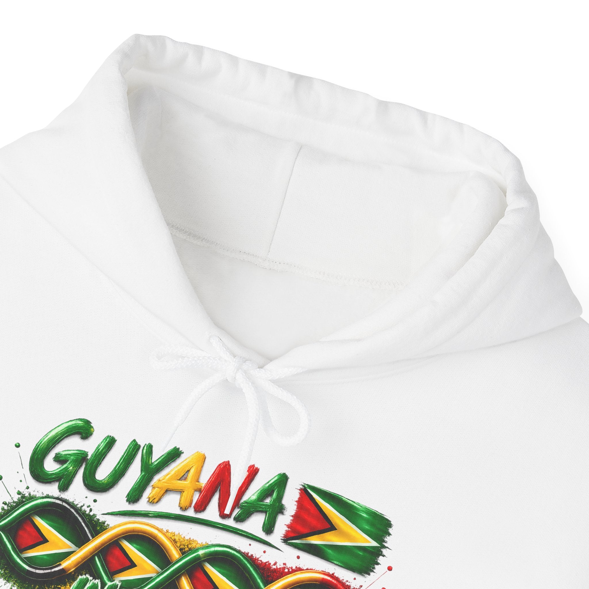 Guyana in My DNA | Heavyweight Hoodie | Guyana