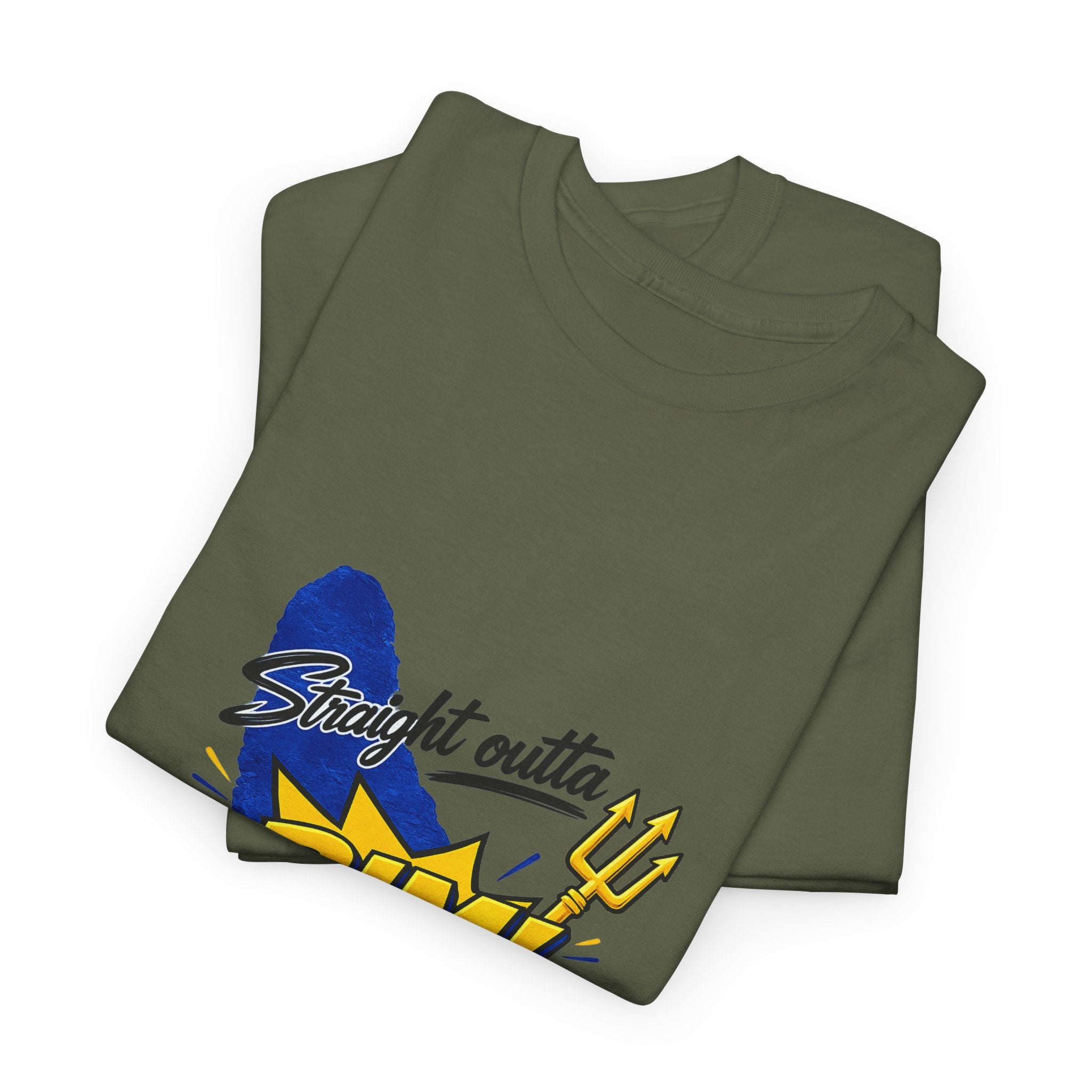 Straight Outta BIM! | Premium Tee | Barbados