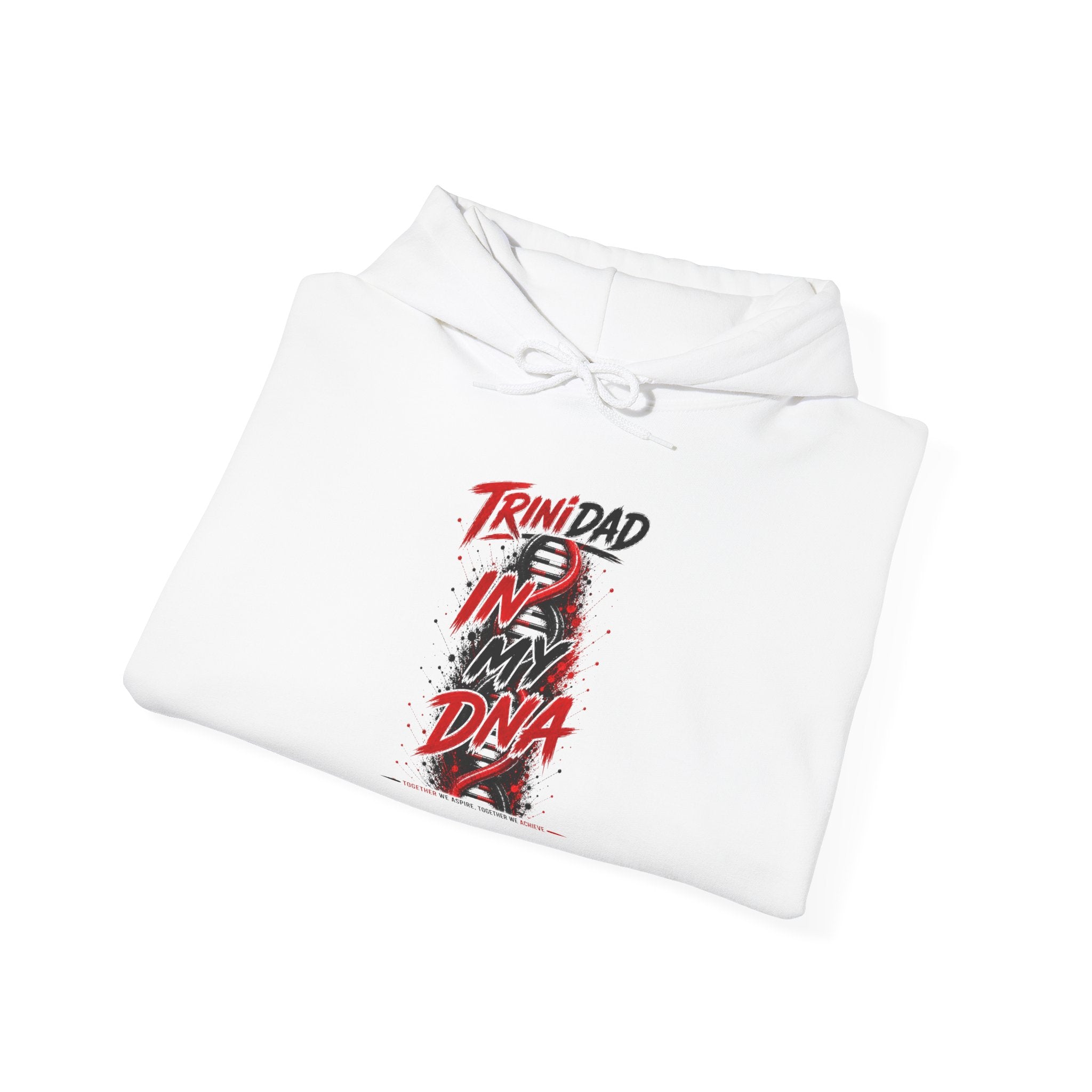 In My DNA | Heavyweight Hoodie | Trinidad