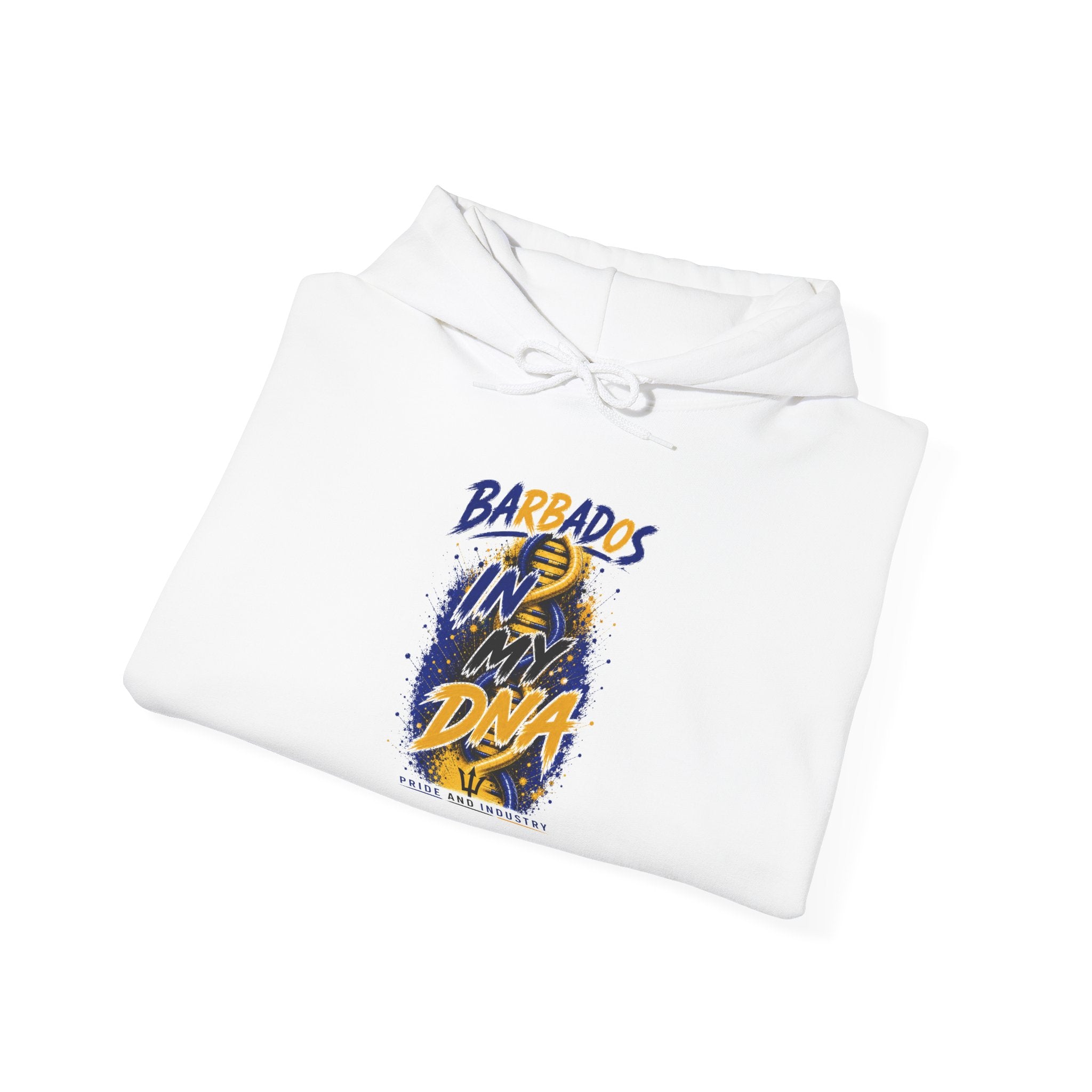 In My DNA | Heavyweight Hoodie | Barbados