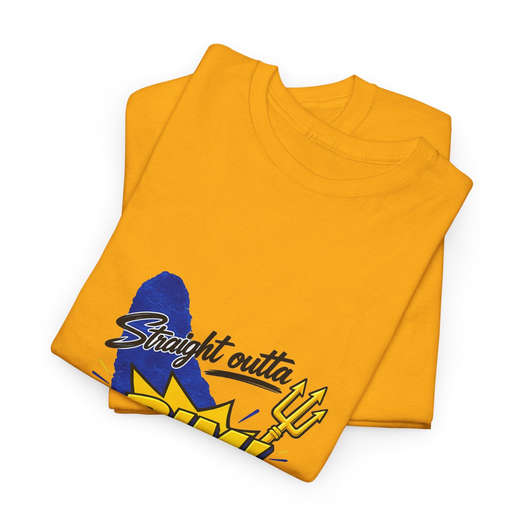 Straight Outta BIM! | Premium Tee | Barbados
