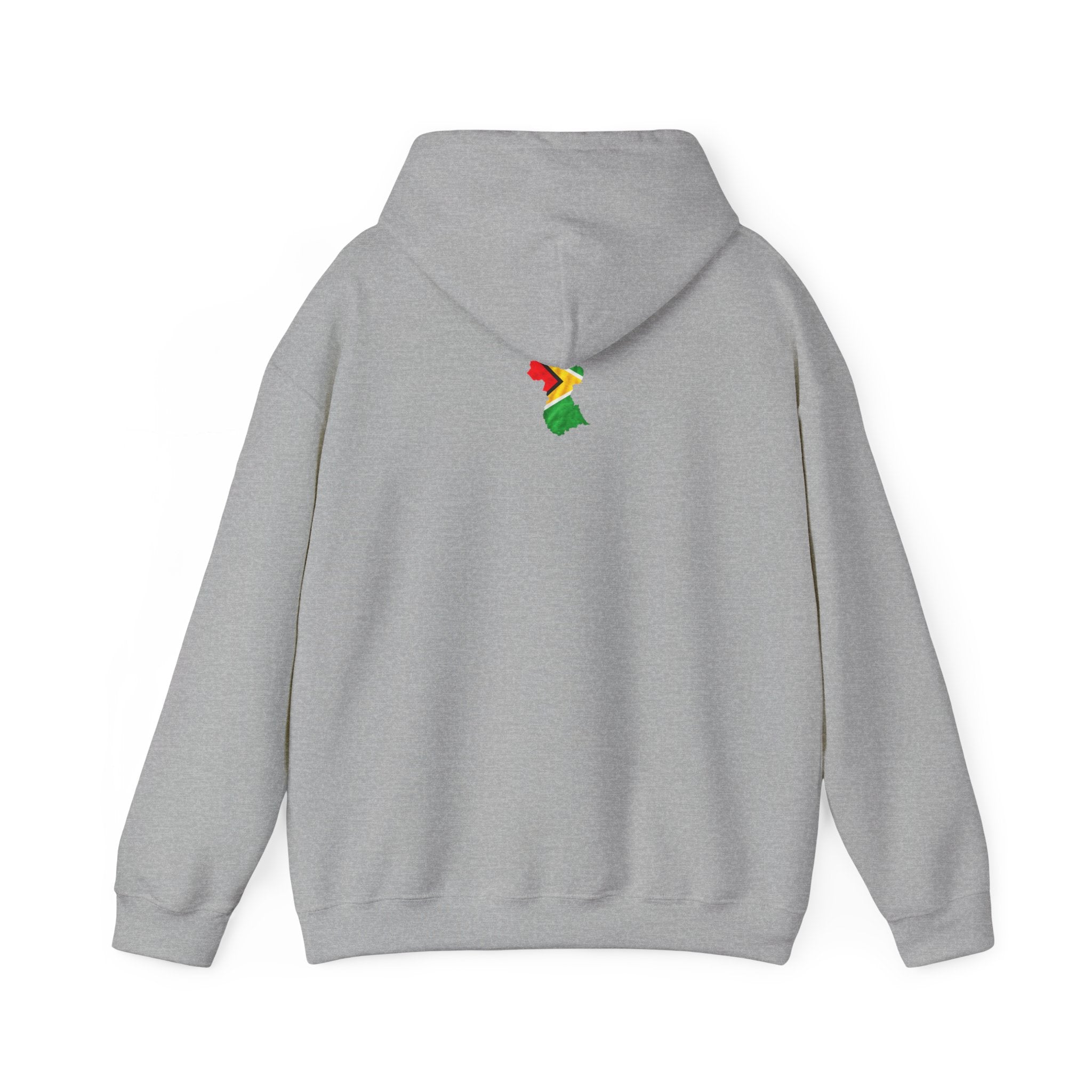 In My DNA | Heavyweight Hoodie | Guyana