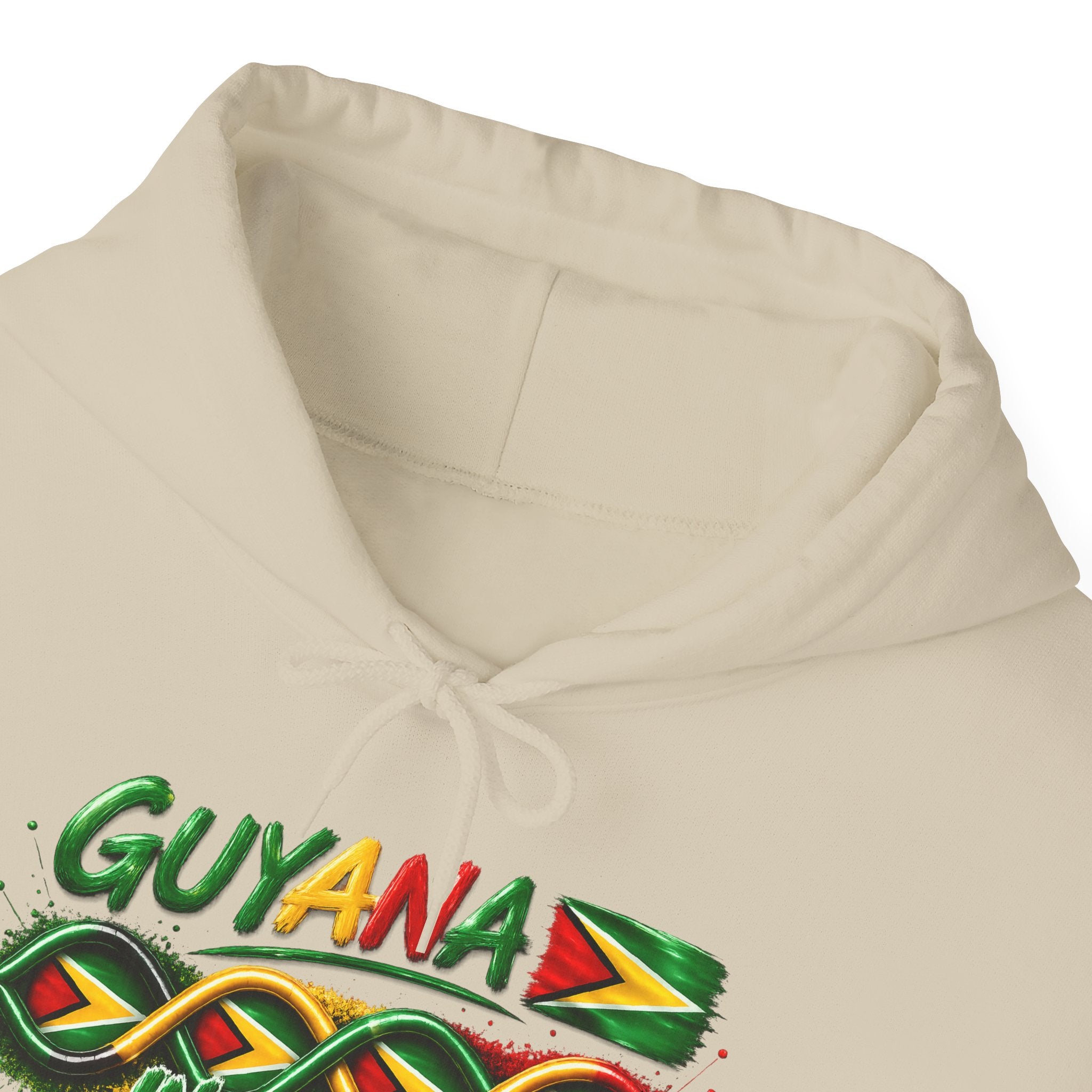 Guyana in My DNA | Heavyweight Hoodie | Guyana