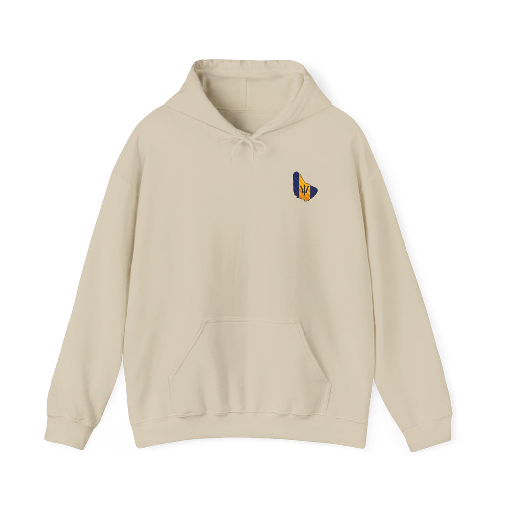 "Oh R...Hole!" | Heavyweight Hoodie | Barbados