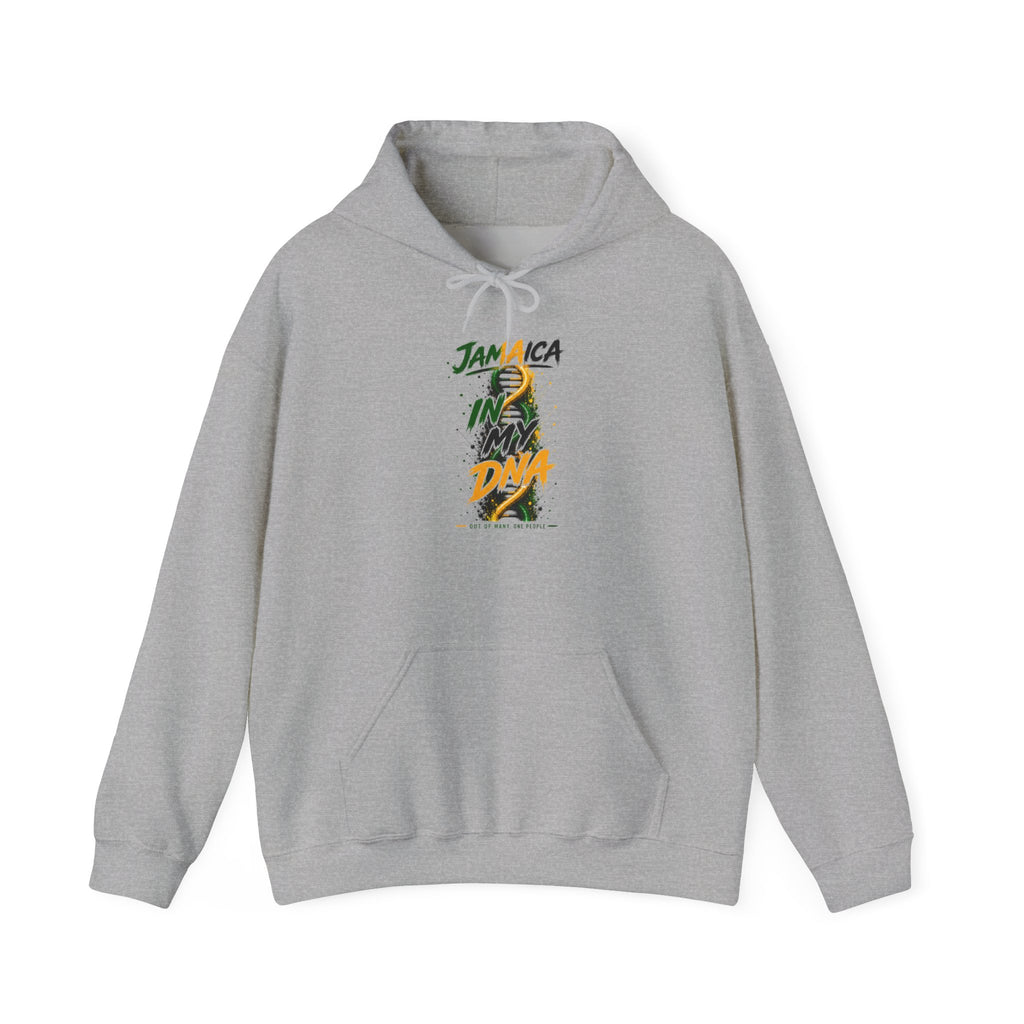 In My DNA | Heavyweight Hoodie | Jamaica
