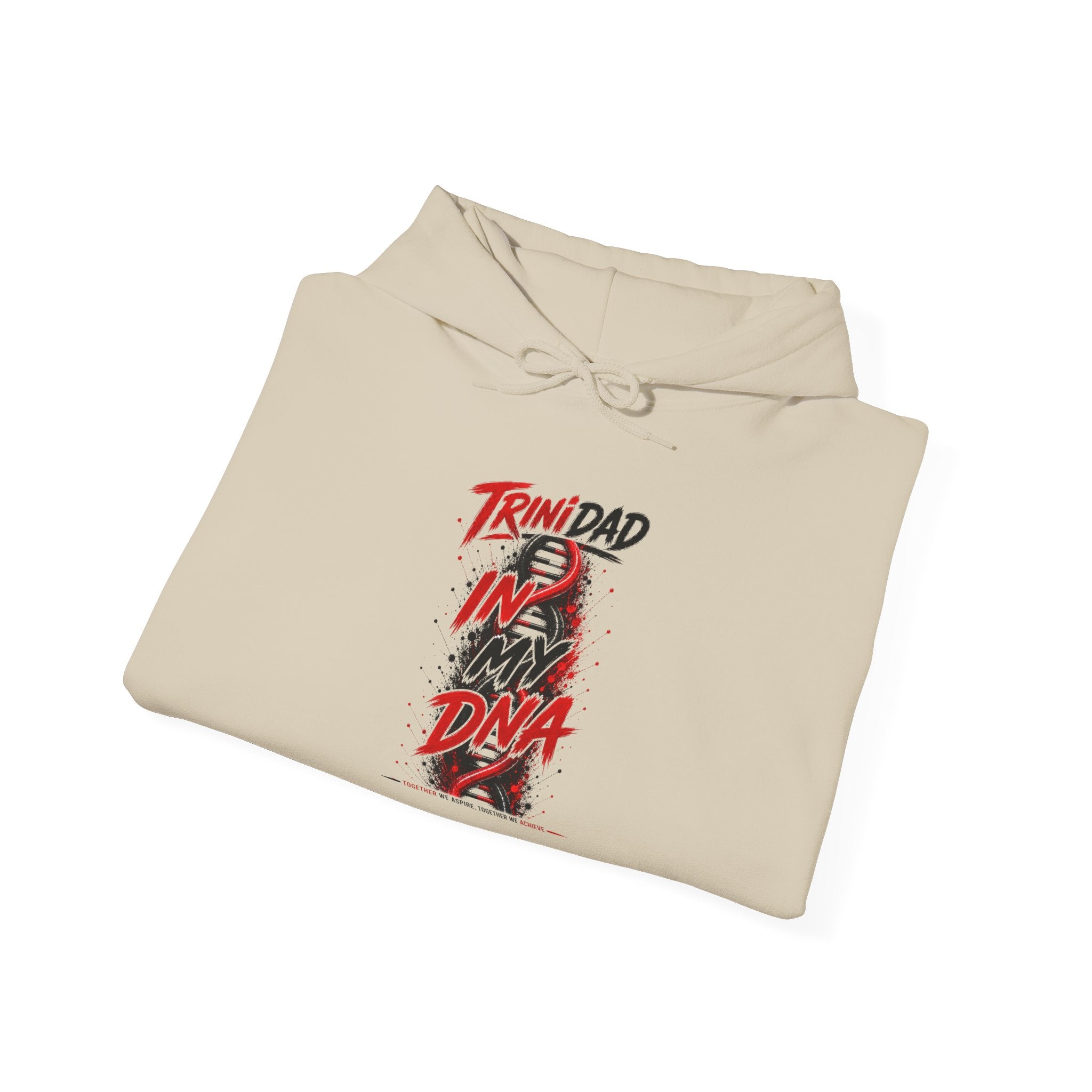 In My DNA | Heavyweight Hoodie | Trinidad