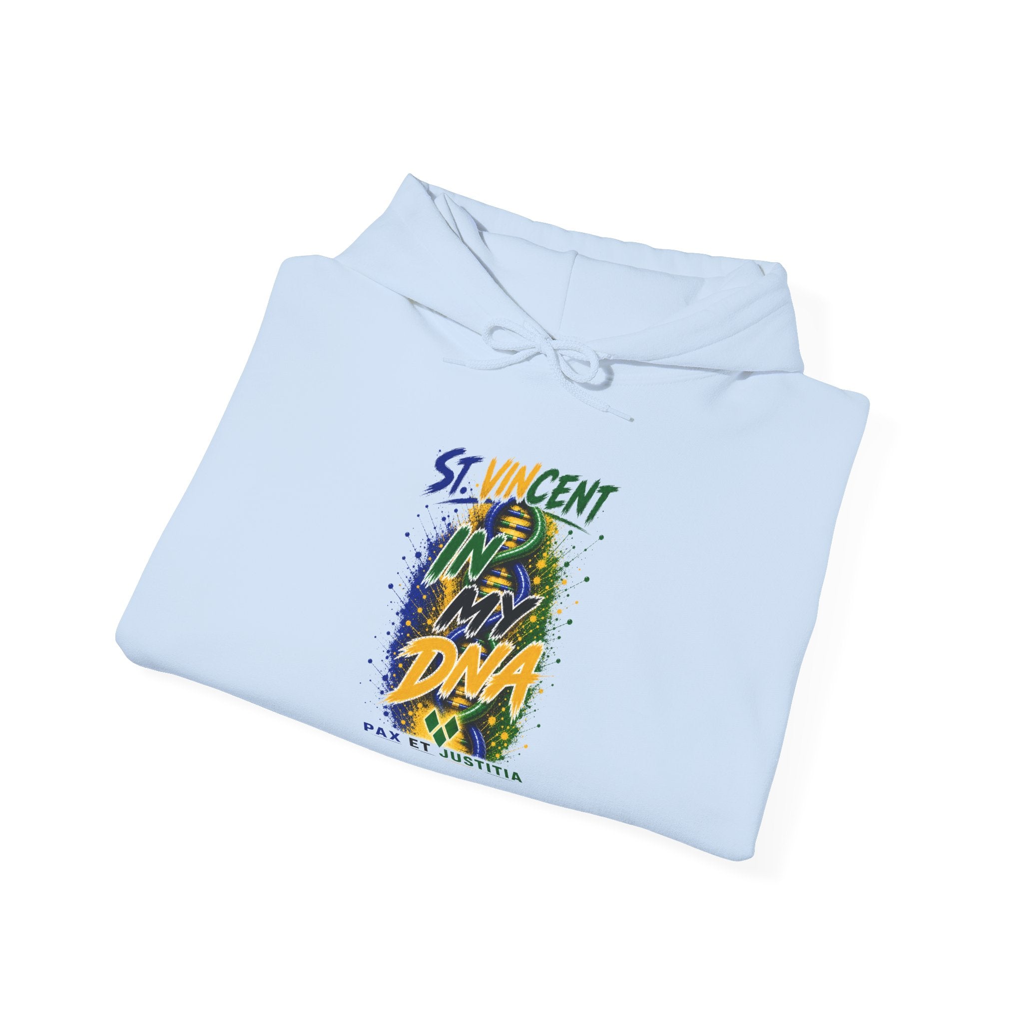 In My DNA | Heavyweight Hoodie | St. Vincent