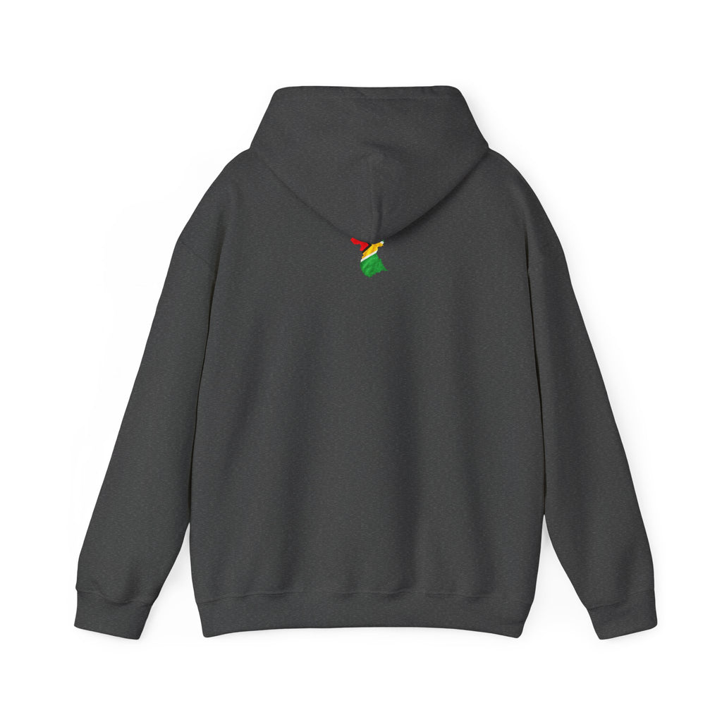 Guyana in My DNA | Heavyweight Hoodie | Guyana