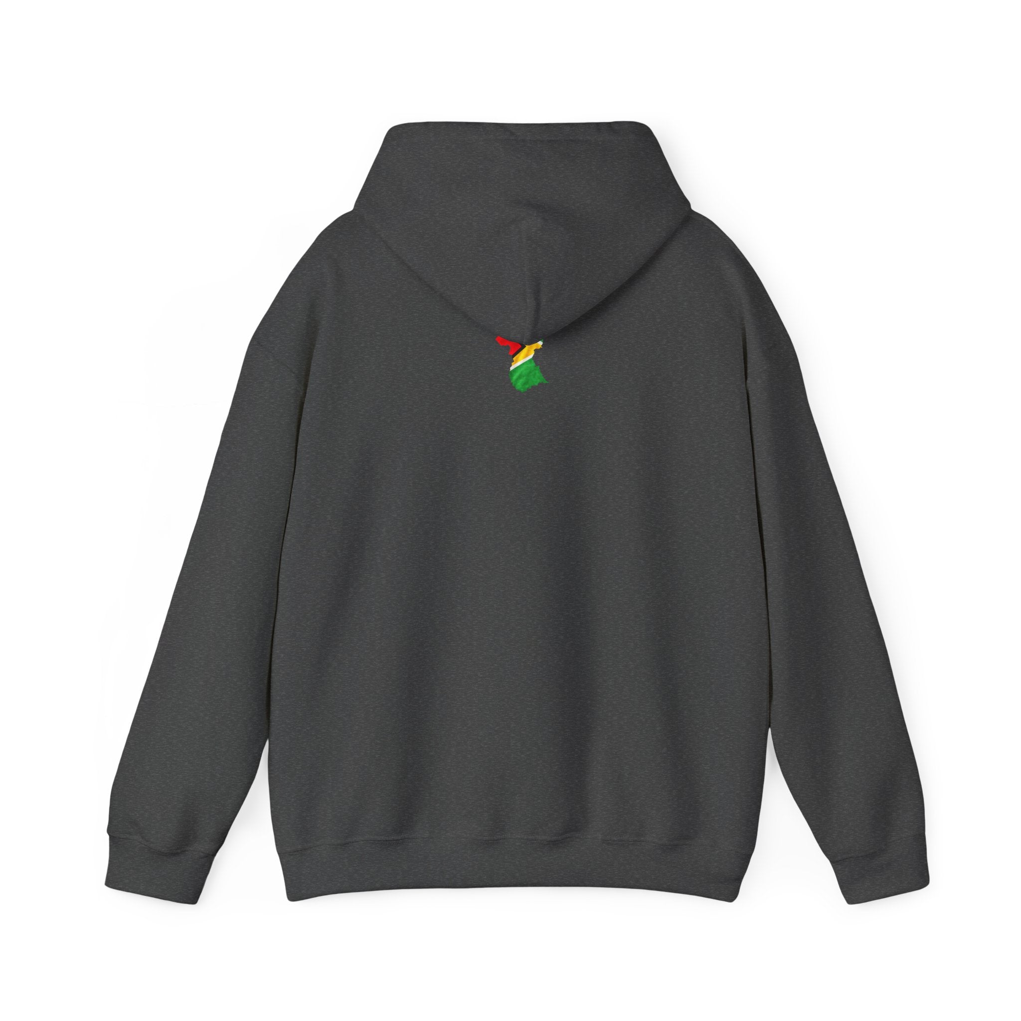 Guyana in My DNA | Heavyweight Hoodie | Guyana