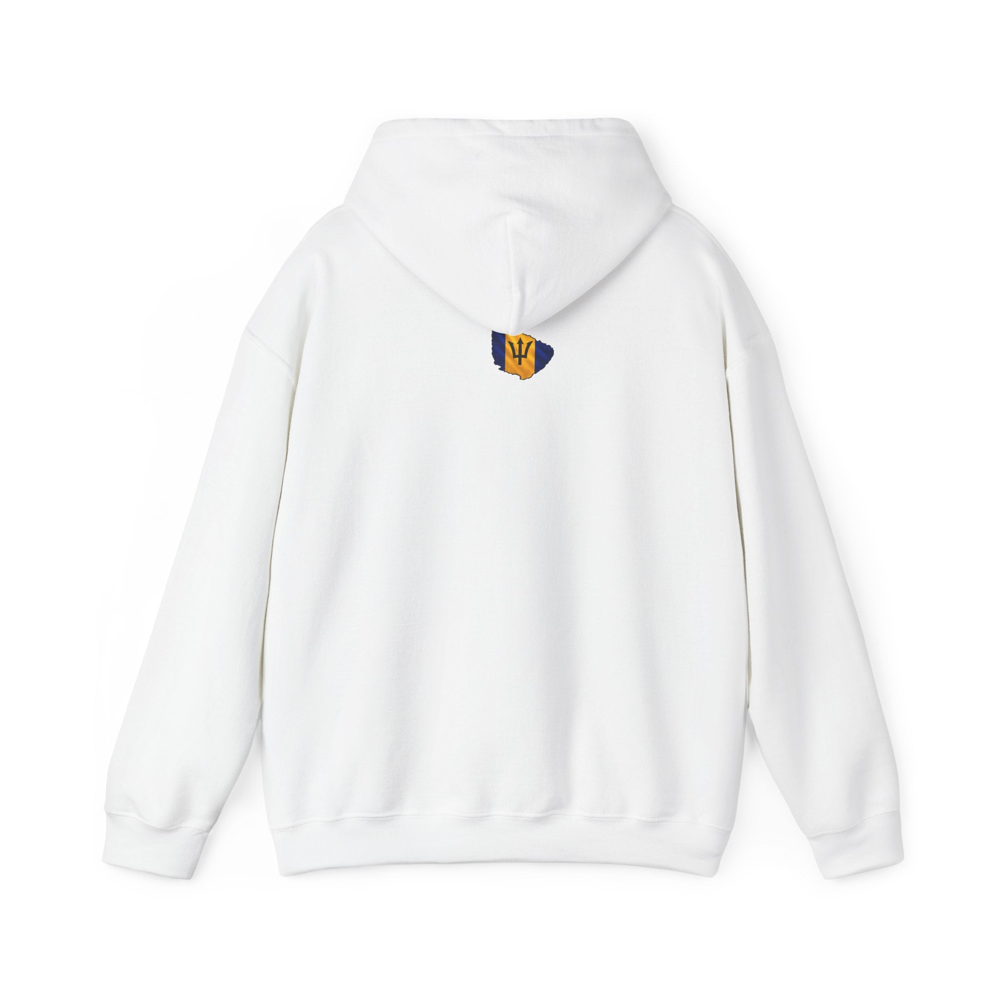 In My DNA | Heavyweight Hoodie | Barbados