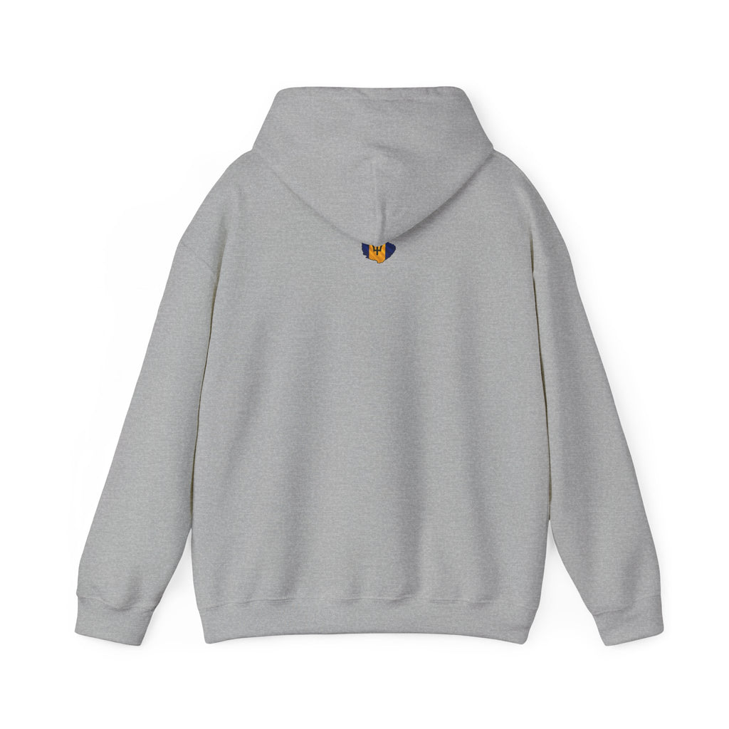 Straight Outta BIM! | Heavyweight  Hoodie | Barbados
