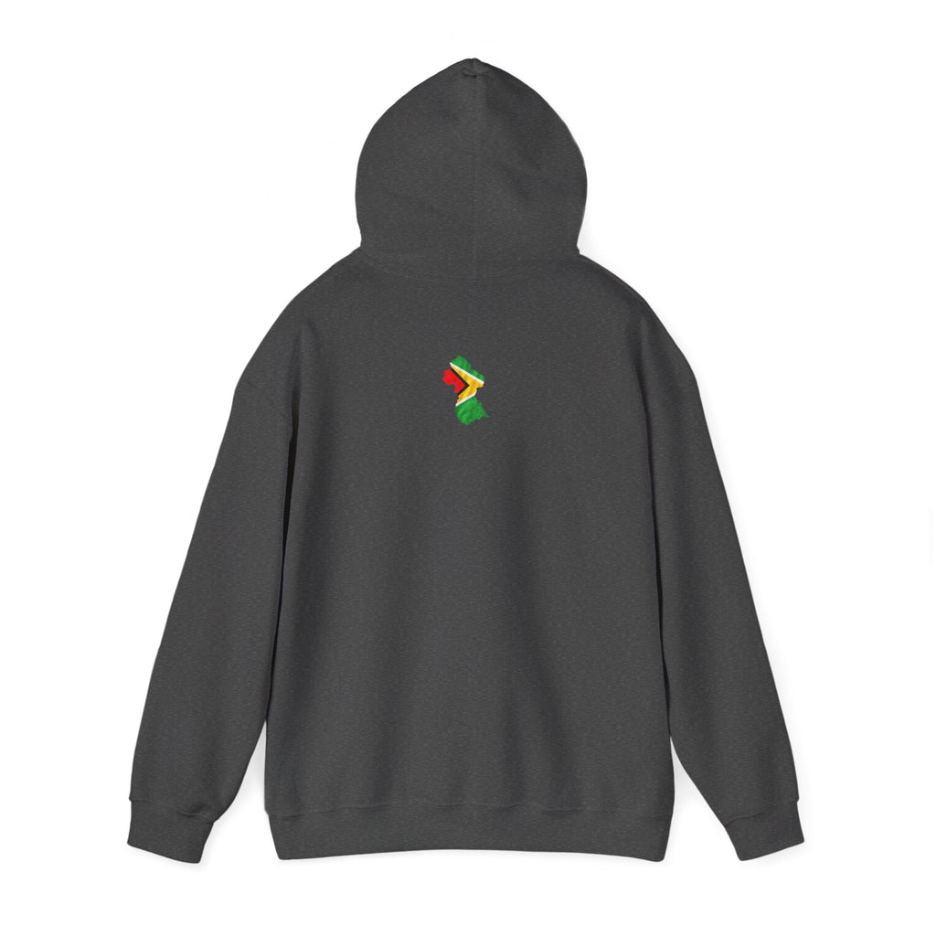 Guyana in My DNA | Heavyweight Hoodie | Guyana