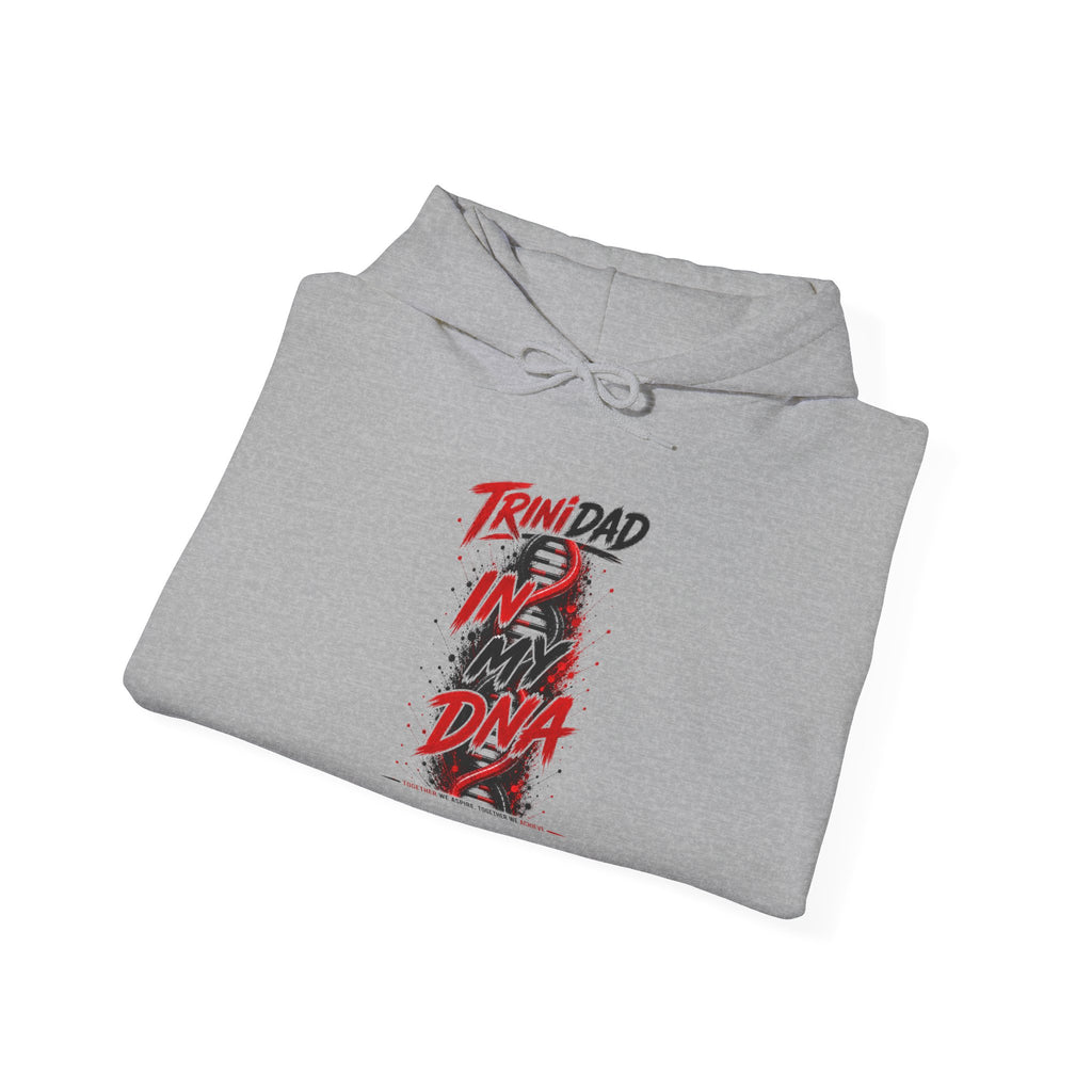 In My DNA | Heavyweight Hoodie | Trinidad
